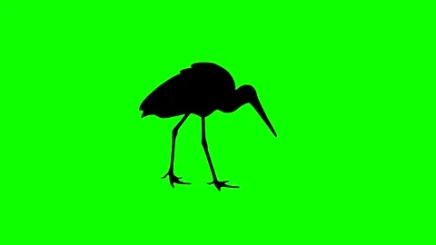 Walk Cycle Green Screen Stock Footage ~ Royalty Free Stock Videos | Page 9
