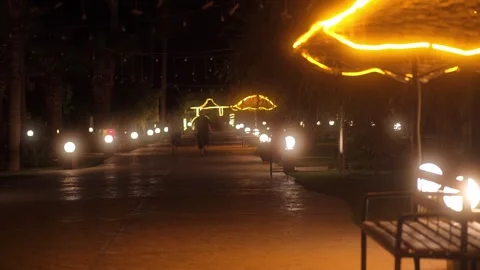 A walking street with beautiful lighting. Stock Footage 295228076