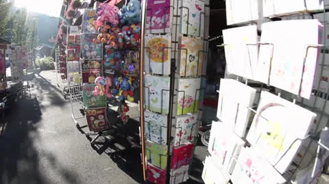 Walking on the street Stock Footage 25893918