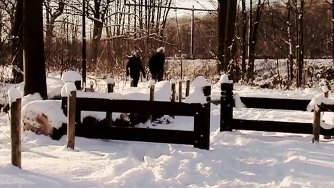 Walking on a sunny snowday Video stock 83887700