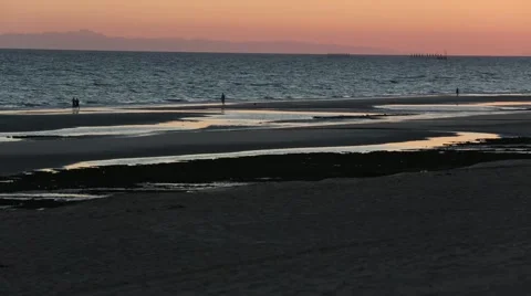 Walking on a Sunset Beach Video stock 68211202