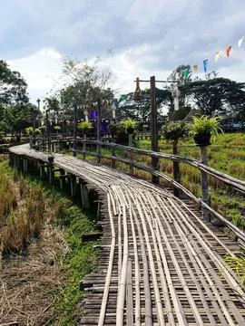 Walking suspense bridge made of dry bamboo Stock Photos