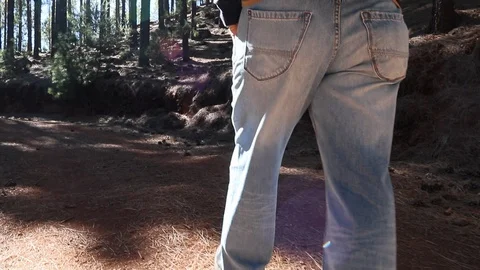 Walking, Tenerife forest Video stock 106213891