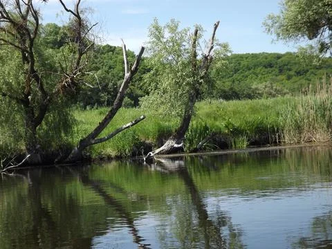 Walking on things by the river Foto stock