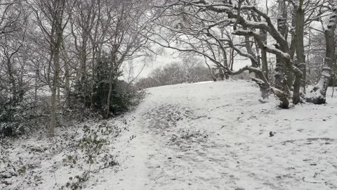 Walking though a snow covered wood. Crohan Hurst, Croydon. Stock Footage 147262831