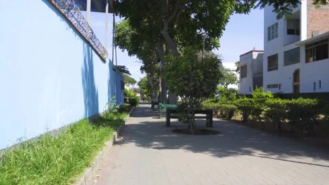 Walking through a alameda with benches to sit on and trees in the middle Video stock 149910905