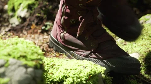 Walking through Alpine rain forest in Germany Stock Footage 168389832