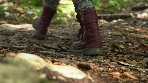 Walking through Alpine rain forest in Germany Stock Footage 168389870