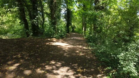 Walking through Alwalton Forest Trail, dappled sunlight and birdsong Stock Footage 336814527
