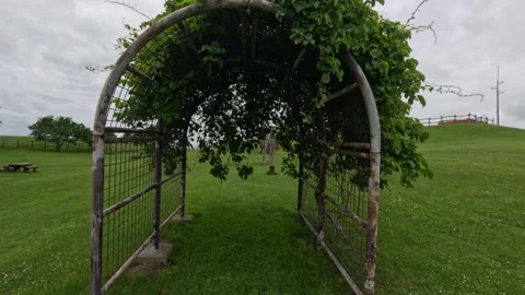 Walking through an arc at a camping on the green cloudy hills of Hokkaido, Japan Stock Footage 254226791