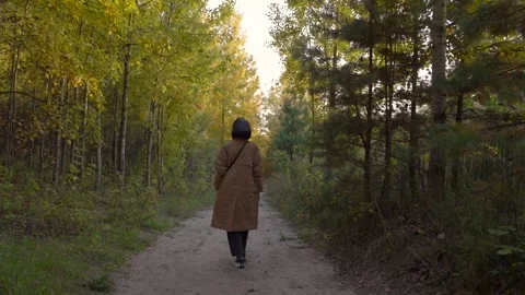 Walking Through the Autumn Forest Video stock 287035309
