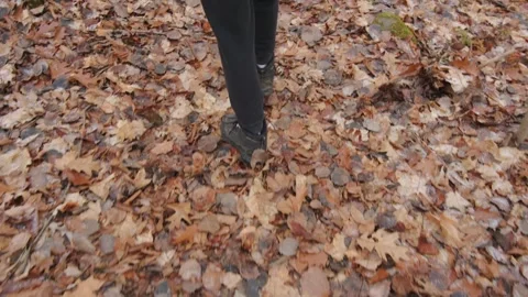 Walking through autumn forest Stock-Footage 299855766
