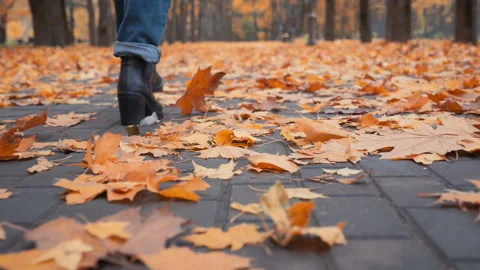 Walking through the autumn leaves Stock Footage 87165084