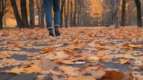 Walking through the autumn leaves Stock Footage 87165359