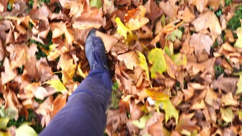 Walking through the autumn leaves lying on the ground. Stock Footage 221440562