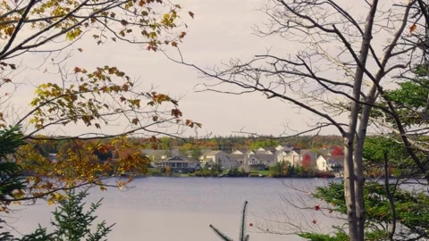 Walking Through Autumn Woods in Nova Scotia With Fiery Foliage and Quiet Path Stock Footage 319869734