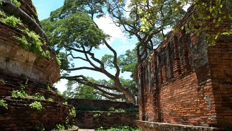 Walking through Ayutthaya ancient temple Thailand Stock Footage 91008604