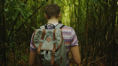 Walking Through Bamboo Stock Footage 75255569