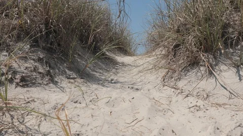 Walking through beach dunes towards beach house Stock Footage 128614822