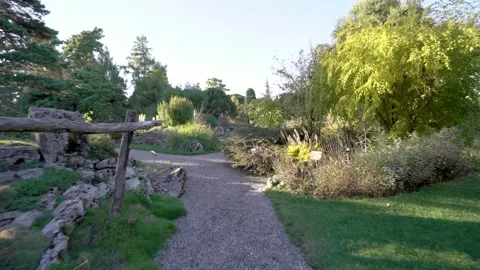 Walking through a beautiful botanic garden in late summer at sunset Stock Footage 261301560