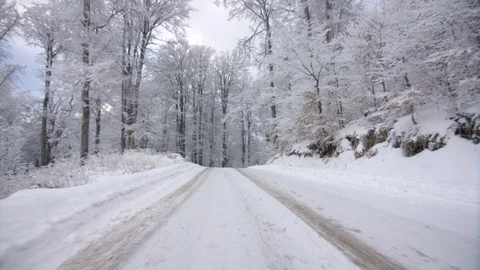 Walking through beautiful forest covered with snow Stock Footage 98241695