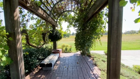 Walking Through The Beautiful Park With Arcs Stock Footage 116433908