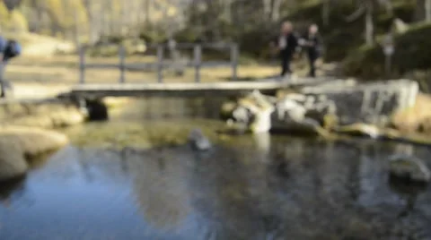 Walking through the bridge in the nature Stock Footage 43225249