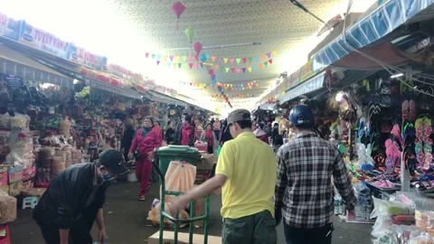 Walking through a busy aisle in Con market in Da Nang Stock Footage 146766584