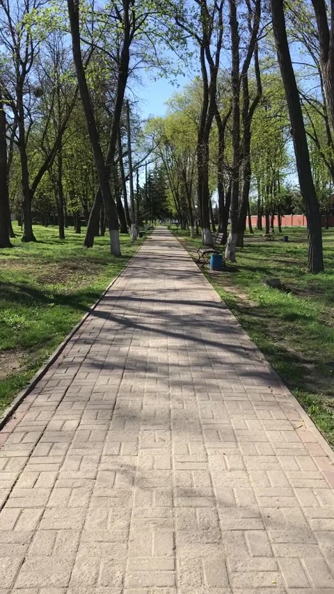 Walking through a calm park pathway in springtime sunshine Stock Footage 308368352