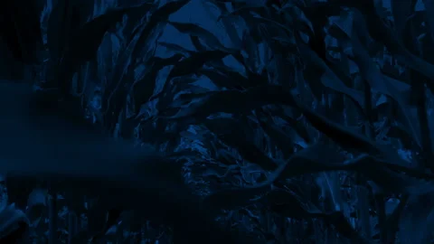 Walking Through Corn Field At Night Stock Footage 159980529