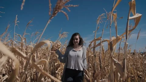 Walking Through The Corn Vídeo Stock 169692885