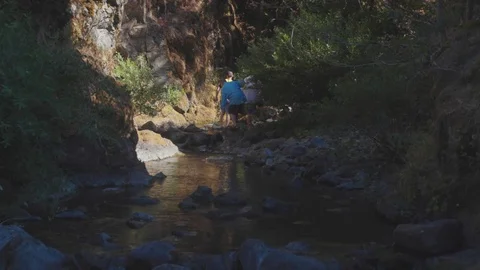 Walking through a creek in a canyon Stock Footage 103815050