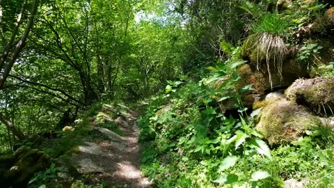 Walking through the Crotta valley (Muggio valley), Ticino, Switzerland Video stock 130318580