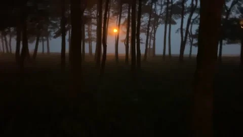 Walking through the Darkness and into the Light Vídeos de archivo 154394477