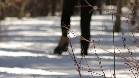 Walking through deep snow Stock Footage 78813808