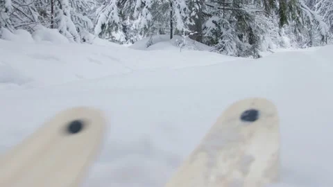 Walking through deep snow in forest Stock-Footage 168571533