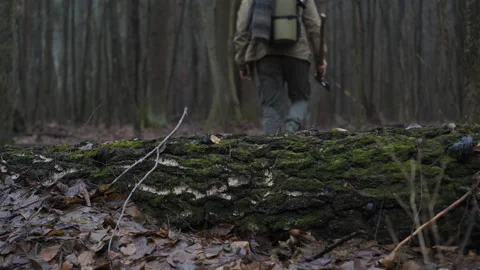 Walking through a dense forest while carrying a tool in hand Stock Footage 309117969