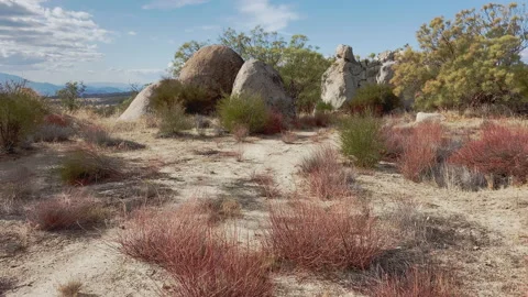 Walking through the desert at fall to Big boulders and shrubs at the hills of CA Stock Footage 217400000
