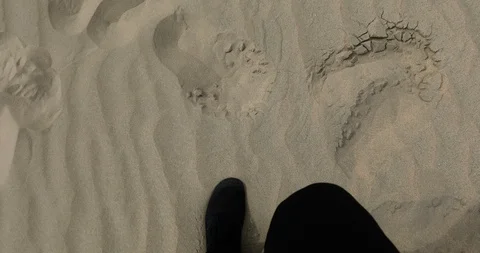 Walking through the desert Stockbeeldmateriaal 122403209