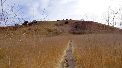 Walking Through Dry Field Stock Footage 84457615