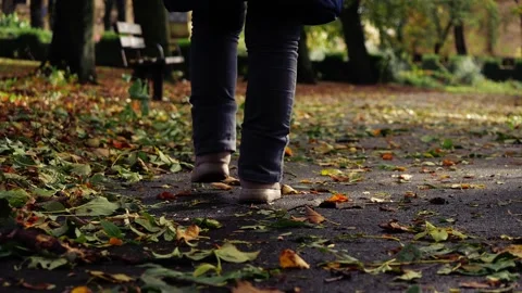 Walking through empty lonely park in Autumn park Stock Footage 254425425