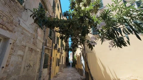 Walking through empty street in old Corfu town on a summer day Stock Footage 313402016