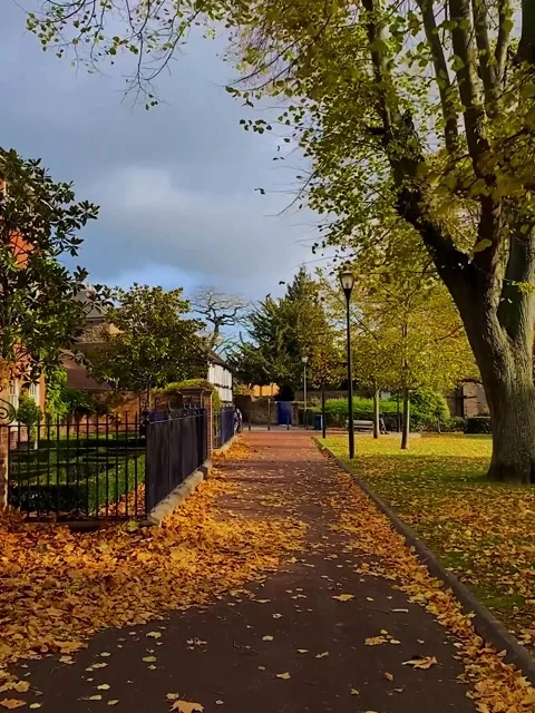 Walking through the empty streets on pandemic on a sunny autumn day in the park Stock Footage 165513275