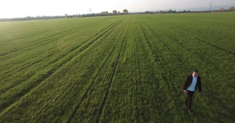 Walking Through a Field Stock Footage 56351375