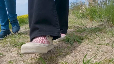 Walking through a field of rape blossoms Part 2 Stock Footage 241139557