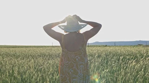 Walking through a field of rye grass in the late afternoon 2 Stock Footage 255659985