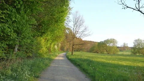 Walking Through Fields in Allgaeu on a Peaceful Spring Morning with Fresh Gra Stock Footage 309040138