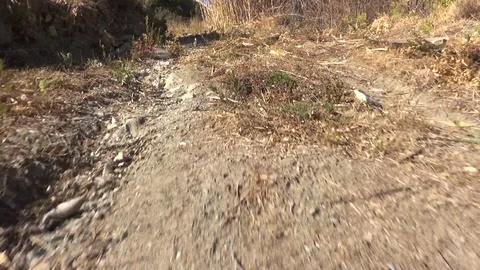 Walking through the fields POV Stockbeeldmateriaal 127545631