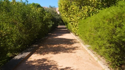 Walking through Stock Footage 109387664