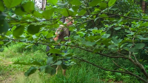 Walking through a forest and looking for something Stock Footage 112175473
